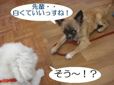DSC04855.JPG