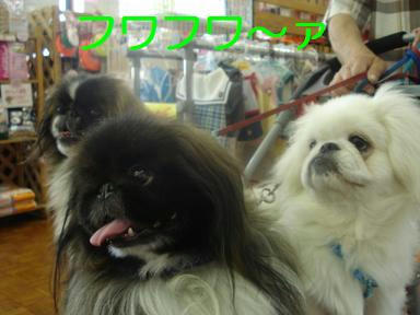 3131fcc8.jpeg