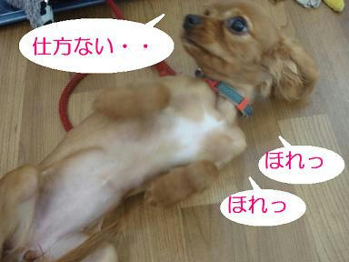 DSC05137.JPG