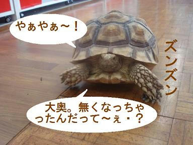 DSC05159.JPG