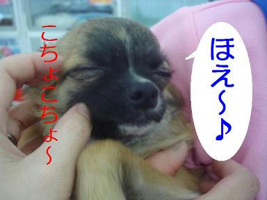 DSC05253.JPG