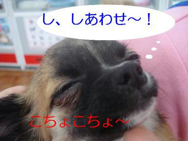 DSC05255.JPG