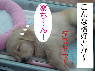 DSC05313.JPG