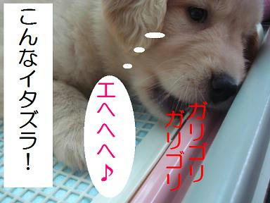 DSC05346.JPG