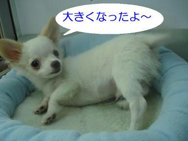 DSC05406.JPG