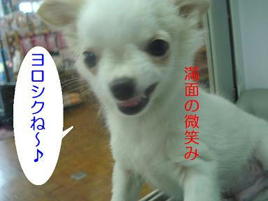DSC05389.JPG