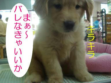 DSC05430.JPG