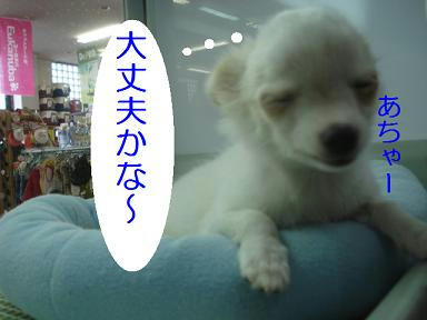 DSC05403.JPG