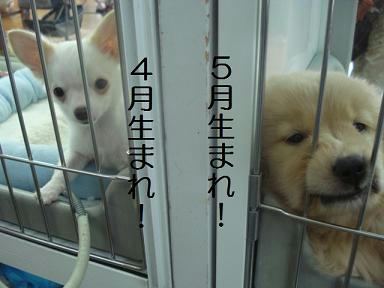28116a9d.jpeg