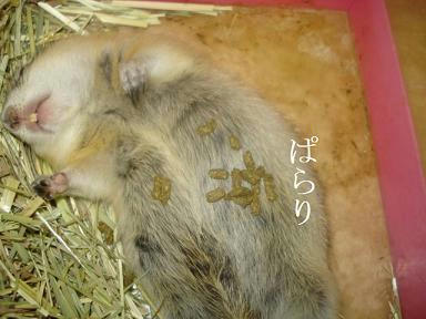DSC05203.JPG