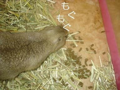 DSC05212.JPG