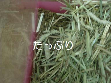 DSC05226.JPG