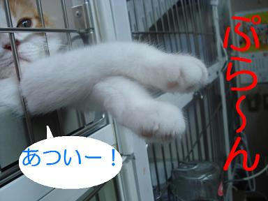 DSC05501.JPG