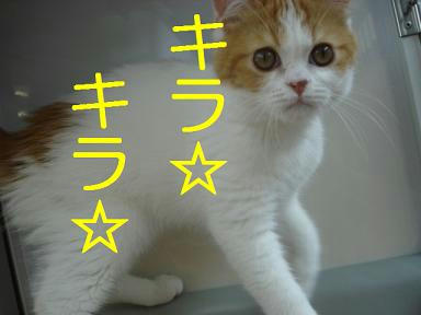 DSC05509.JPG