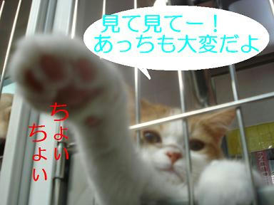 DSC05526.JPG