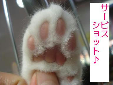DSC05525.JPG