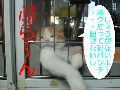 DSC05522.JPG