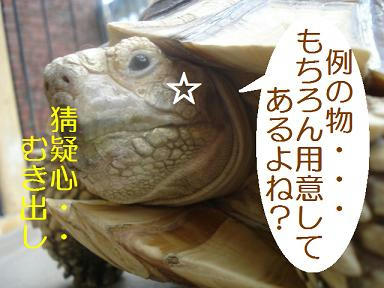 DSC05621.JPG