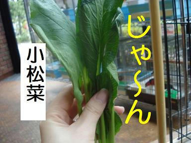 DSC05636.JPG