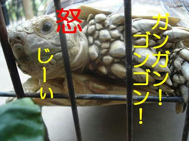 DSC05639.JPG