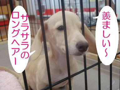 DSC05709.JPG