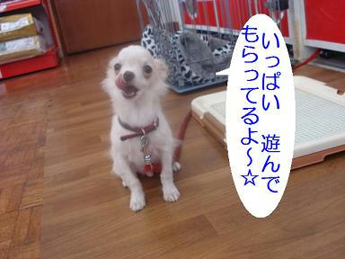 DSC05678.JPG