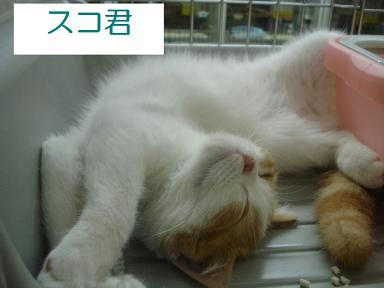 DSC05736.JPG