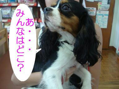 DSC05993.JPG