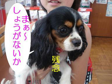 DSC05992.JPG