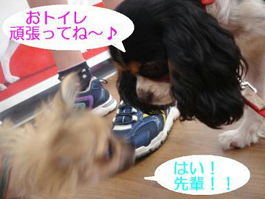 DSC05989.JPG