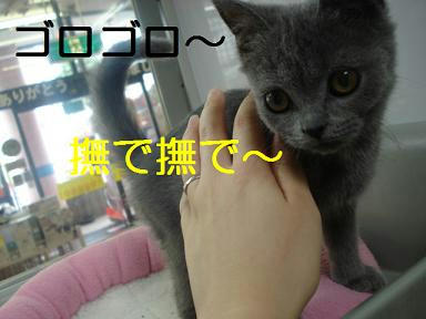 DSC06228.JPG