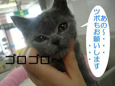 DSC06226.JPG