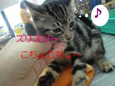 DSC06202.JPG