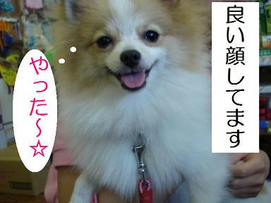 DSC06256.JPG