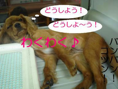 DSC06278.JPG