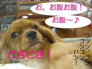 DSC06282.JPG