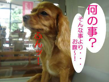 DSC06288.JPG