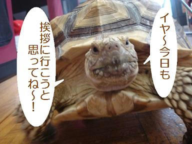 DSC06332.JPG