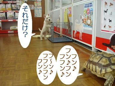 DSC06340.JPG
