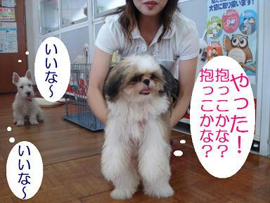 DSC06403.JPG