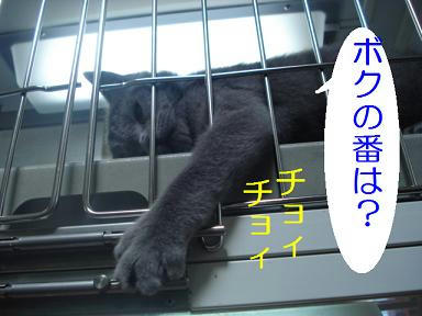 DSC06540.JPG