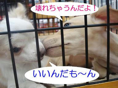 DSC06566.JPG