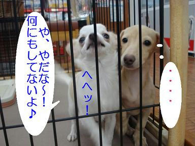 DSC06562.JPG