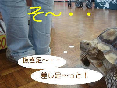 DSC06720.JPG