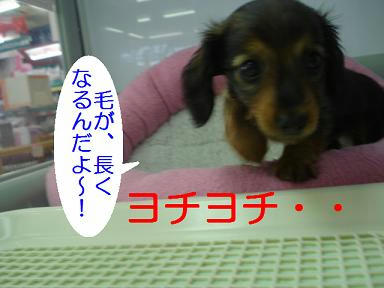 DSC06768.JPG