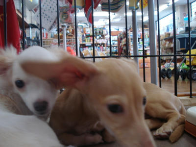 DSC06814.JPG