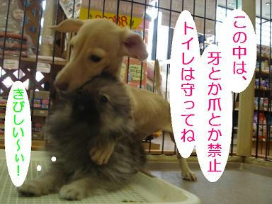 DSC06826.JPG