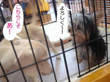 DSC07067.JPG