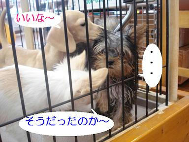 DSC07049.JPG