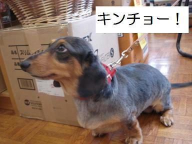 DSC07093.JPG